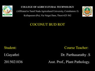 COLLEGE OF AGRICULTURAL TECHNOLOGY
(Affiliated to Tamil Nadu Agricultural University, Coimbatore-3)
Kullapuram (Po), Via Vaigai Dam, Theni-625 562
COCONUT BUD ROT
Student: Course Teacher:
I.Gayathri Dr. Parthasarathy .S
2015021036 Asst. Prof., Plant Pathology.
 