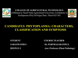 CANDIDATUS PHYTOPLASMA: CHARACTERS,
CLASSIFICATION AND SYMPTOMS
COLLEGE OF AGRICULTURAL TECHNOLOGY
(Affiliated to Tamil Nadu Agricultural University, Coimbatore-3)
Kullapuram (Po),ViaVaigai Dam, Theni-625 562
STUDENT
SARASWATHI S
DEEPAN S
COURSE TEACHER
Dr. PARTHASARATHY.S
Asst. Professor (Plant Pathology)
 