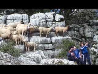 2015 02 11 Antequera