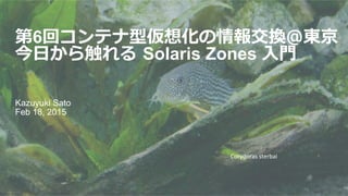 第6回コンテナ型仮想化の情報交換＠東京
今⽇日から触れる  Solaris Zones ⼊入⾨門
Kazuyuki Sato
Feb 18, 2015
Corydoras	
  sterbai	
 