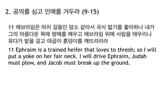 2. 공의를 심고 인애를 거두라 (9-15)
11 에브라임은 마치 길들인 암소 같아서 곡식 밟기를 좋아하나 내가
그의 아름다운 목에 멍에를 메우고 에브라임 위에 사람을 태우리니
유다가 밭을 갈고 야곱이 흙덩이를 깨뜨리리라
11 Ephraim is a trained heifer that loves to thresh; so I will
put a yoke on her fair neck. I will drive Ephraim, Judah
must plow, and Jacob must break up the ground.
 
