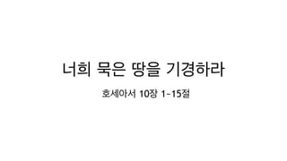 너희 묵은 땅을 기경하라
호세아서 10장 1~15절
 