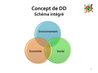 Concept de DD
Schéma intégré
18
 