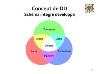 Concept de DD
Schéma intégré développé
19
 