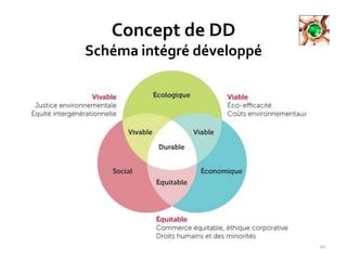 Concept de DD
Schéma intégré développé
20
 