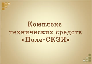 Комплекс
технических средств
«Поле-СКЗИ»
 