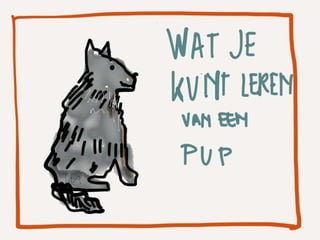 Wat je kunt leren van een puppy