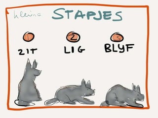 Wat je kunt leren van een puppy