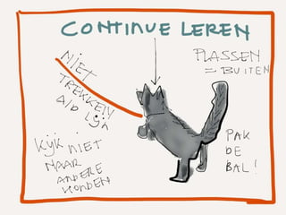 Wat je kunt leren van een puppy