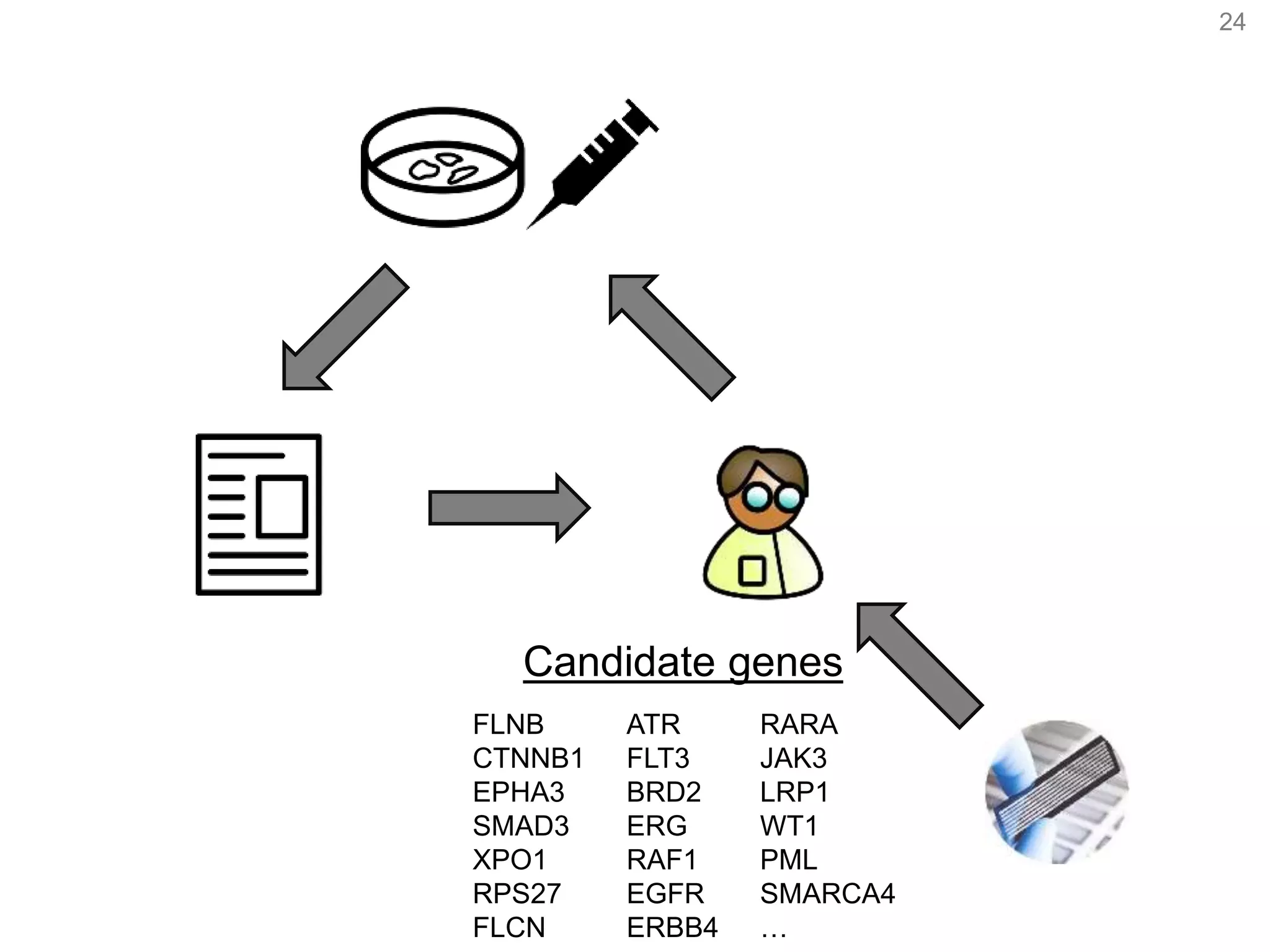 24
Candidate genes
FLNB
CTNNB1
EPHA3
SMAD3
XPO1
RPS27
FLCN
ATR
FLT3
BRD2
ERG
RAF1
EGFR
ERBB4
RARA
JAK3
LRP1
WT1
PML
SMARCA4
…
 