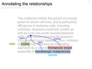 Annotating the relationships
23
This molecule inhibits the growth of a broad
panel of cancer cell lines, and is particular...