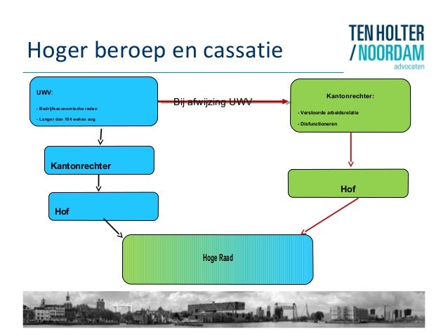 Impact van het Nieuwe Ontslagrecht, Wet Werk en Zekerheid