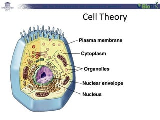 Lab for Bioinformatics and computational genomics
Cell Theory
 