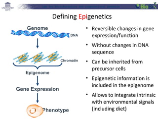 Lab for Bioinformatics and computational genomics
Defining Epigenetics
• Reversible changes in gene
expression/function
• Without changes in DNA
sequence
• Can be inherited from
precursor cells
• Epigenetic information is
included in the epigenome
• Allows to integrate intrinsic
with environmental signals
(including diet)
Genome
DNA
Gene Expression
Epigenome
Chromatin
Phenotype
 