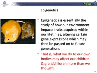 Lab for Bioinformatics and computational genomics
Epigenetics
• Epigenetics is essentially the
study of how our environment
impacts traits acquired within
our lifetimes, altering certain
gene expressions which may
then be passed on to future
generations
• That is, what we do to our own
bodies may affect our children
& grandchildren more than we
thought.
26
 