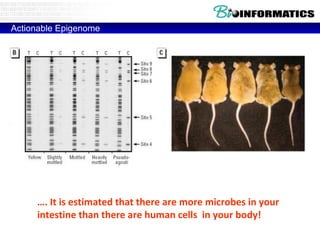 Actionable Epigenome
…. It is estimated that there are more microbes in your
intestine than there are human cells in your body!
 