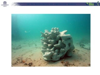 Lab for Bioinformatics and computational genomics
 