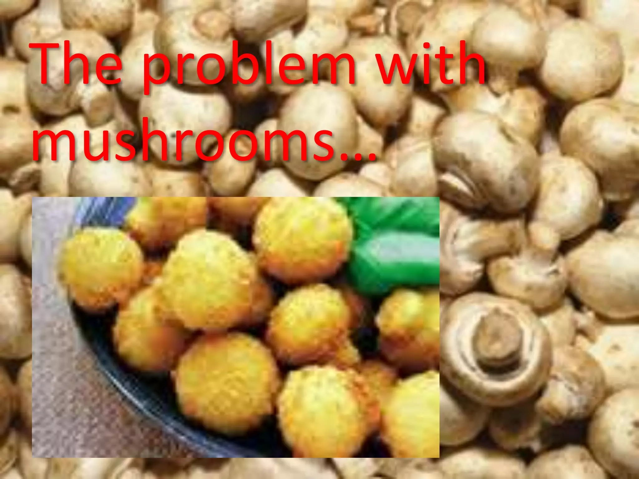 Software Sustainability Institute
www.software.ac.ukThe problem with
mushrooms…
 