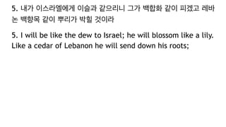 5. 내가 이스라엘에게 이슬과 같으리니 그가 백합화 같이 피겠고 레바
논 백향목 같이 뿌리가 박힐 것이라
5. I will be like the dew to Israel; he will blossom like a lily.
Like a cedar of Lebanon he will send down his roots;
 