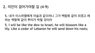 2. 의인이 걸어가야할 길 (4-9)
5. 내가 이스라엘에게 이슬과 같으리니 그가 백합화 같이 피겠고 레
바논 백향목 같이 뿌리가 박힐 것이라
5. I will be like the dew to Israel; he will blossom like a
lily. Like a cedar of Lebanon he will send down his roots;
 