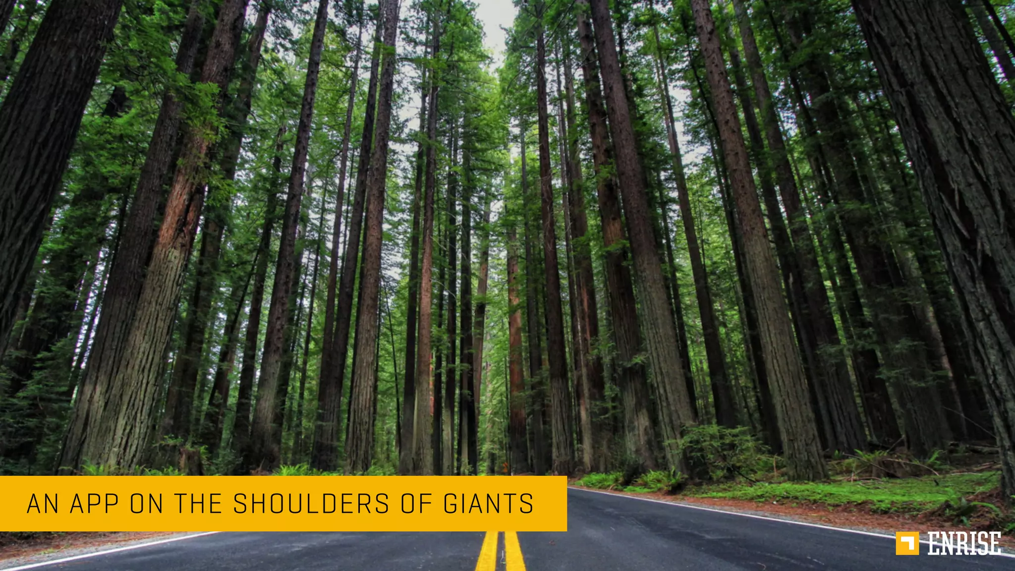 AN APP ON THE SHOULDERS OF GIANTS
 
