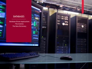 12
DATABASES
Database-Driven Applications
The Schema
The Data Dictionary
 
