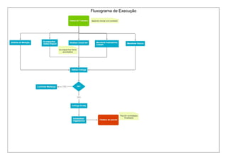 Fluxograma de Execução
 