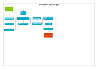 Fluxograma de Execução
 