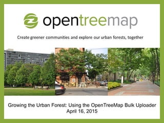 Growing the Urban Forest: Using the OpenTreeMap Bulk Uploader
April 16, 2015
 