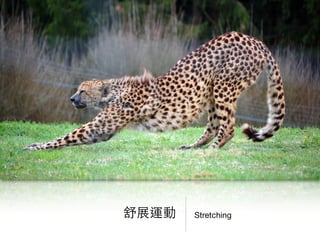 Stretching舒展運動
 