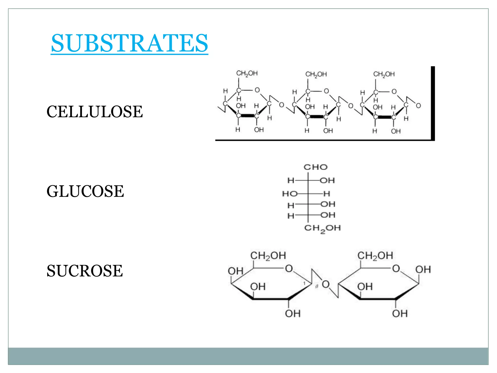 SUBSTRATES
CELLULOSE
GLUCOSE
SUCROSE