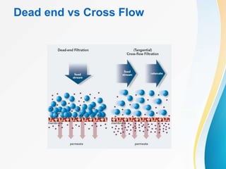 Dead end vs Cross Flow
 