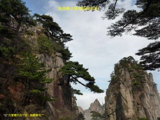 始信峰 2 探海松與石筍矼
“矼”在繁體字找不到，簡體讀“缸”“。
 