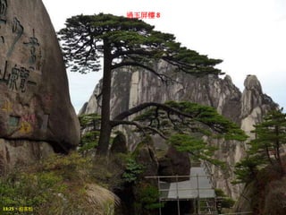 過玉屏樓 8
13:25，迎客松
 