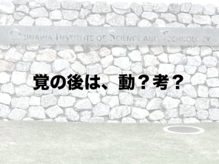 覚の後は、動？考？
 
