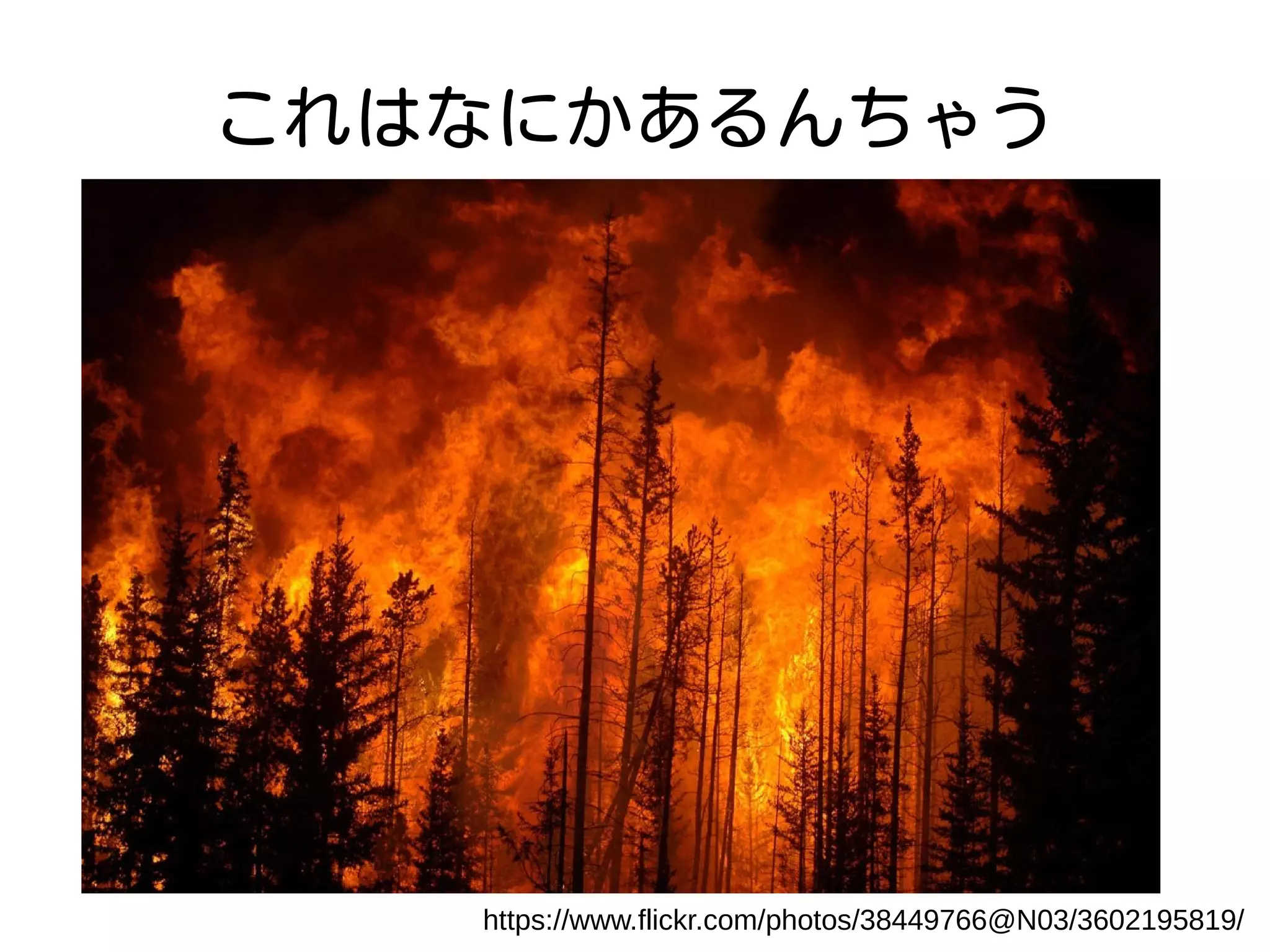 これはなにかあるんちゃう
https://www.flickr.com/photos/38449766@N03/3602195819/
 