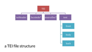 a TEI file structure
 