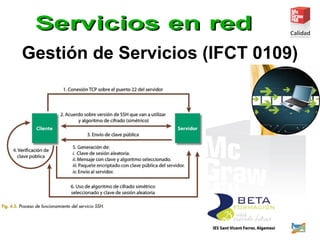 Gestión de Servicios (IFCT 0109)
 