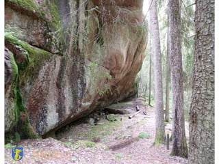 SUOJELU
 