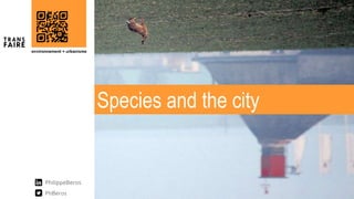 Species and the city
 
