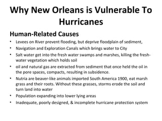 Why New Orleans is Vulnerable To
Hurricanes
Human-Related Causes
• Levees on River prevent flooding, but deprive floodplain of sediment,
• Navigation and Exploration Canals which brings water to City
• Salt water get into the fresh water swamps and marshes, killing the fresh-
water vegetation which holds soil
• oil and natural gas are extracted from sediment that once held the oil in
the pore spaces, compacts, resulting in subsidence.
• Nutria are beaver-like animals imported South America 1900, eat marsh
grass and their roots. Without these grasses, storms erode the soil and
turn land into water
• Population expanding into lower lying areas
• Inadequate, poorly designed, & incomplete hurricane protection system
 