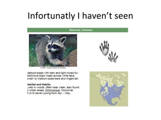 Infortunatly I haven’t seen
 