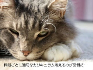 問題ごとに適切なカリキュラム考えるのが面倒だ･･･
 