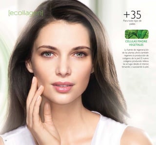 +35Para todo tipo de
pieles
CÉLULAS MADRE
VEGETALES
La fuente de regeneración
de las plantas ahora también
regenera la producción de
colágeno de la piel. El nuevo
colágeno producido rellena
las arrugas desde el interior,
tersando y suavizando la piel.
64
 
