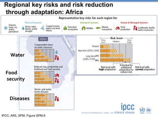 Ipcc Ar5 Risk Observed & Projected Climate Change Impacts, Reasons for Concern ...