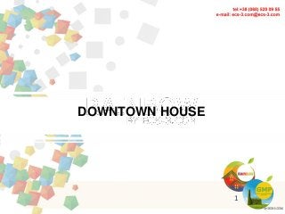 DOWNTOWN HOUSE
1
 