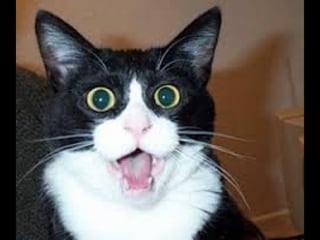 Operational Insight: Concepts and Examples (w/o Presenter Notes)