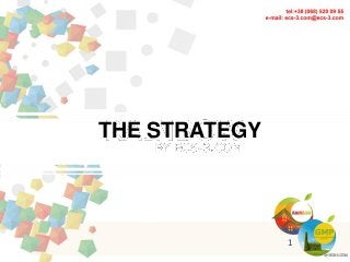 THE STRATEGY
1
 