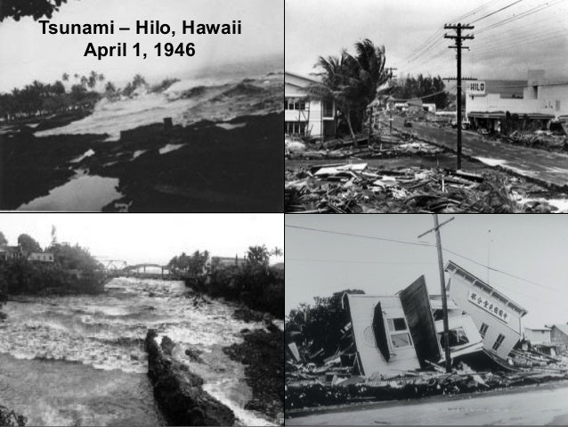 Hilo 1946 Tsunami Hilo 1946 Tsunami