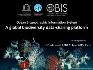 Ocean Biogeographic Information System
A global biodiversity data-sharing platform
Photo credits Sonke Johnsen and Charles Messing
IOC side event BBNJ 23 June 2015, Paris
Ward Appeltans
 